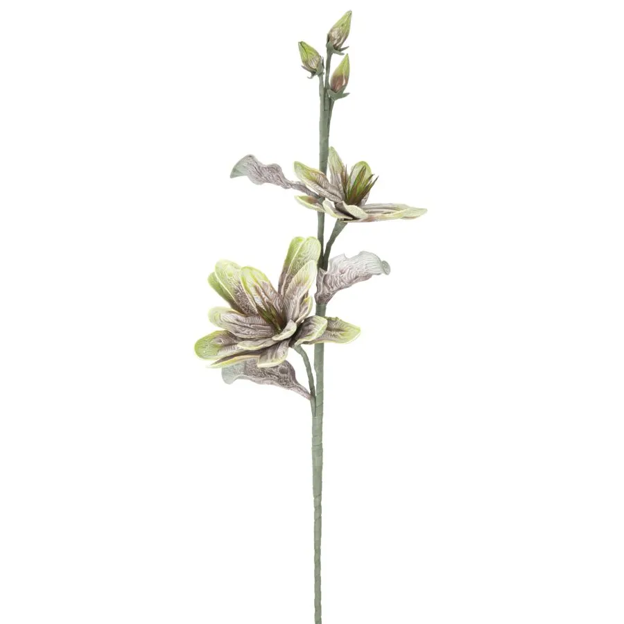 MAGNOLIA X2 Zielony 25X98 cm min 12